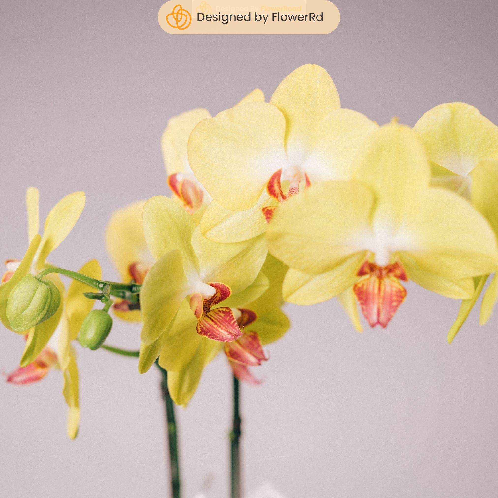 Flowerrd